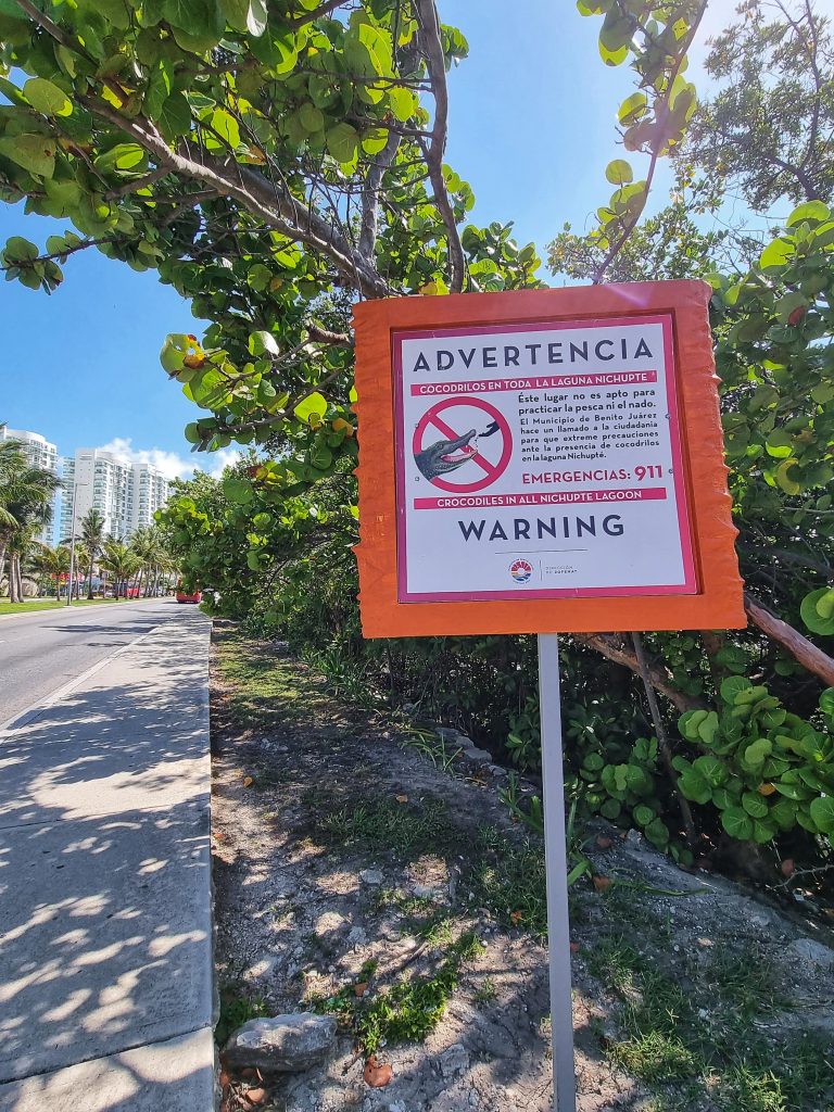 A warning sign about the crocodiles that rest in the lagoon near Mayan Monkey