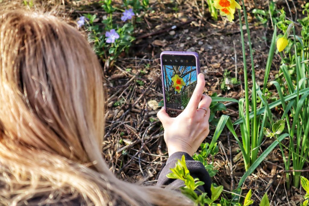 Amy taking a photo with her smartphone of some flowers at Colchester Zoo.