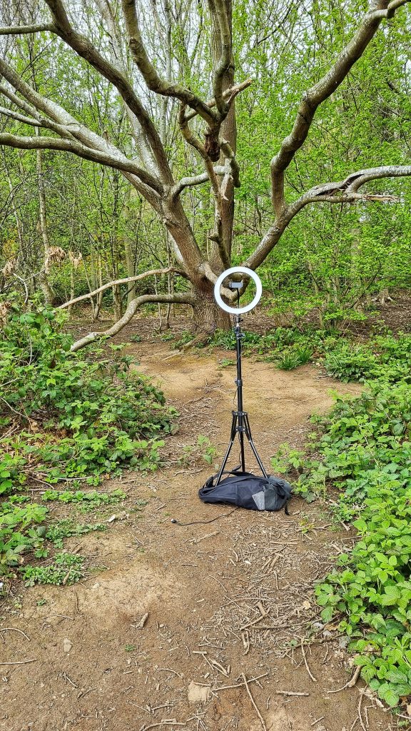 Our ring light set up in the woods ready to take some photos.