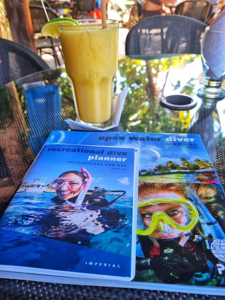 Scuba diving manuals from Amy learning to get her PADI open water diver certification.