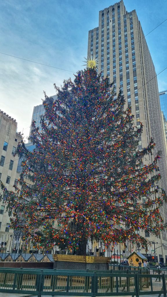 One of the beautiful Christmas trees in Rockefeller Centre.
