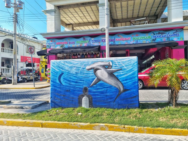 17 Things to be Careful of in Isla Mujeres