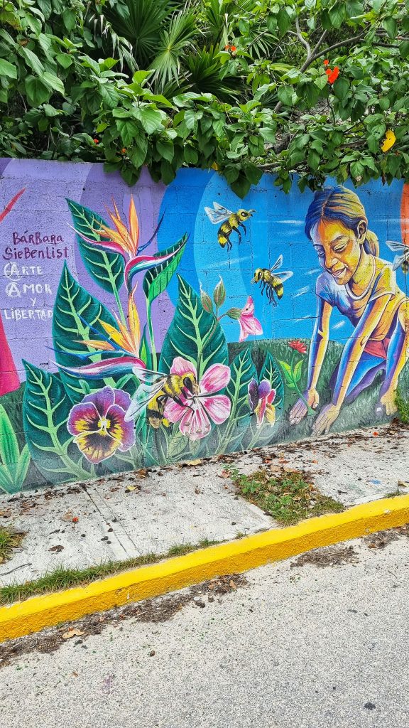 Some of the beautiful street art in Isla Mujeres