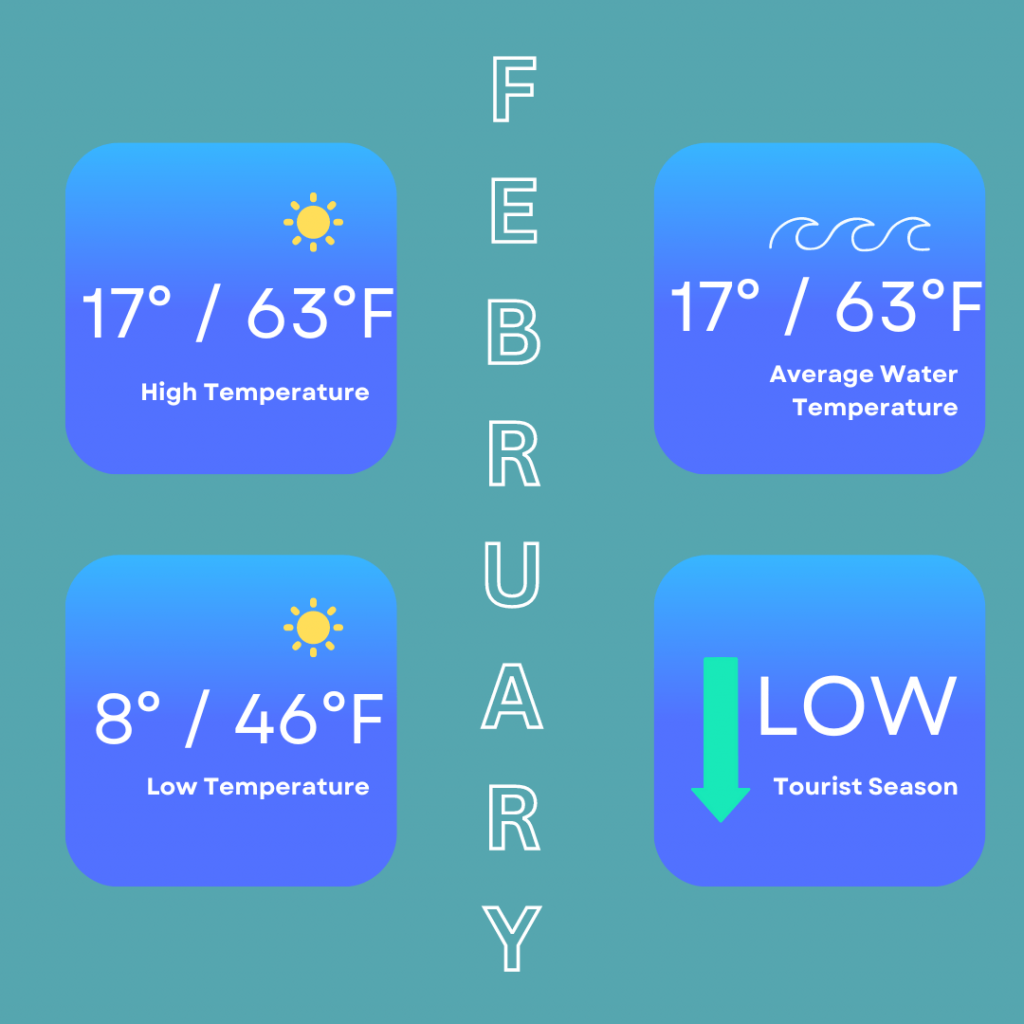 February temperature in Faro showing the high temperatures of 17 degrees / 63 degrees Fahrenheit, low temperatures of 8 degrees / 46 degrees Fahrenheit, average water temperature of 17 degrees / 63 degrees Fahrenheit and low tourist season.
