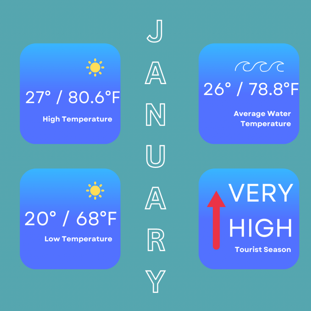 January infograpphic so you can decide on the best time to visit Isla Mujeres. This infographic shows the high temperature of 27 degrees / 80.6 degrees Fahrenheit, low temperature of 20 degress / 68 degrees Fahrenheit. The average water temperature is 26 degrees / 78.8 degrees Fahrenheit and it is a very high tourist season in January.