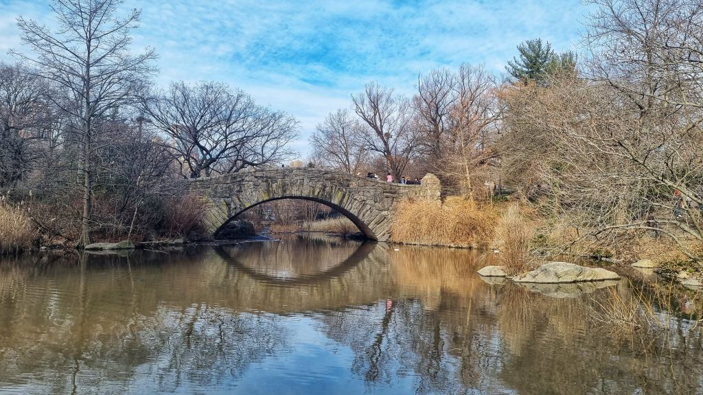 Bow Bridge in Central Park.