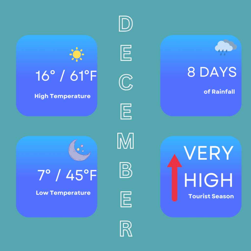 Infographic for the weather in December in Seville. High temperatures can be around 16 degrees / 61 degrees Fahrenheit, low temperatures of 7 degrees / 45 degrees Fahrenheit. You can expect around 8 days of rainfall. With the temperatures beginning to drop, it can be quite busy with tourists being a very high tourist season especially with the Seville Christmas Markets but we would say that it is still a good time to visit to experience something different.