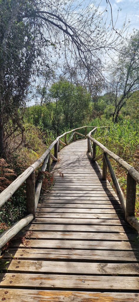 This image was taken from Donana National Park and one of the bridges we walked over through the national park.