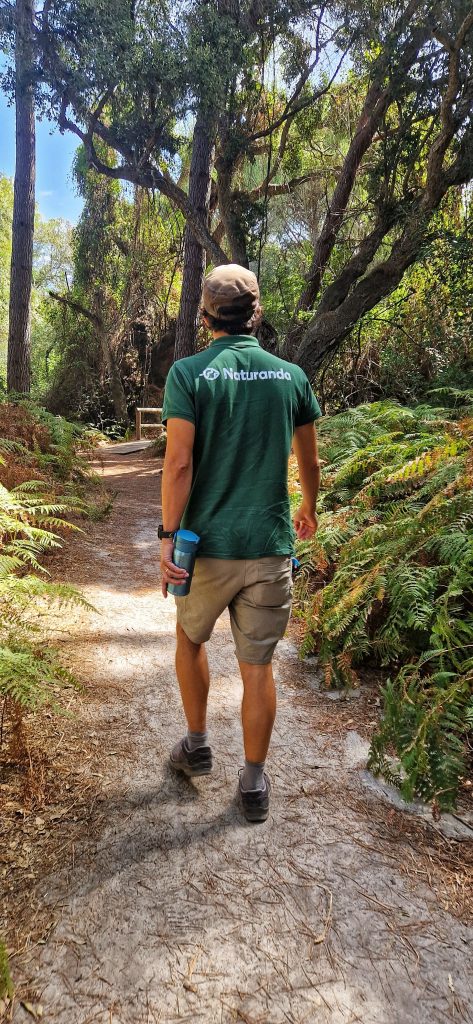 Image of Naturanda guide on a Donana National Park tour giving us the best information on the area.