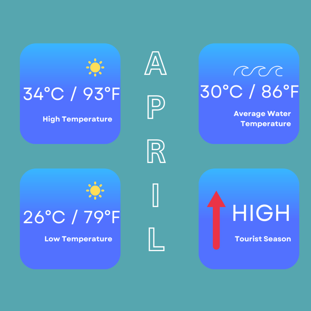 Infographic for weather in April in Phuket. It shows high temperatures of 34 Degrees Celsius / 93 Degrees Fahrenheit. Low temperatures of 26 Degrees Celsius / 79 Degrees Fahrenheit. It also shows sea temperatures are 30 Degrees Celsius / 86 Degrees Fahrenheit and that it is high tourist season.
