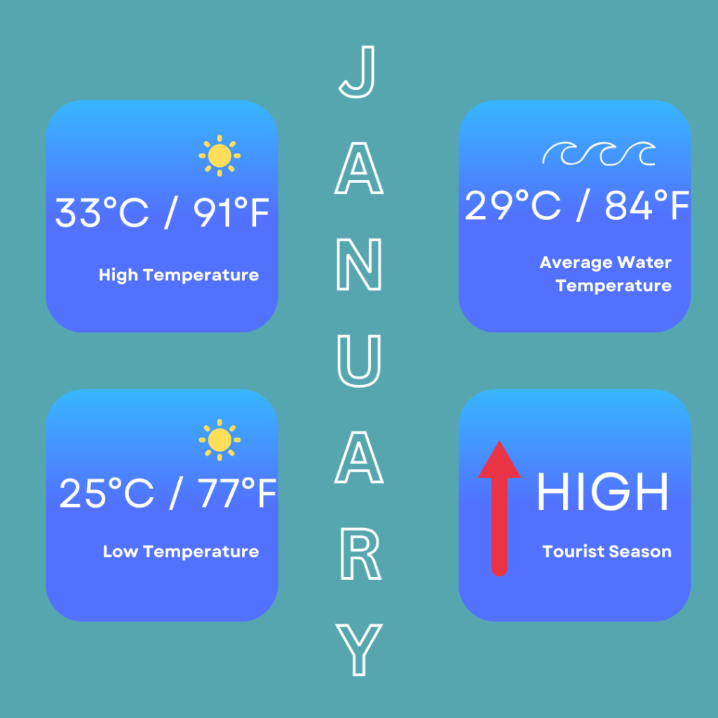 Infographic for weather in January in Phuket. It shows high temperatures of 33 Degrees Celsius / 91 Degrees Fahrenheit. Low temperatures of 25 Degrees Celsius / 77 Degrees Fahrenheit. It also shows sea temperatures are 29 Degrees Celsius / 84 Degrees Fahrenheit and that it is high tourist season.