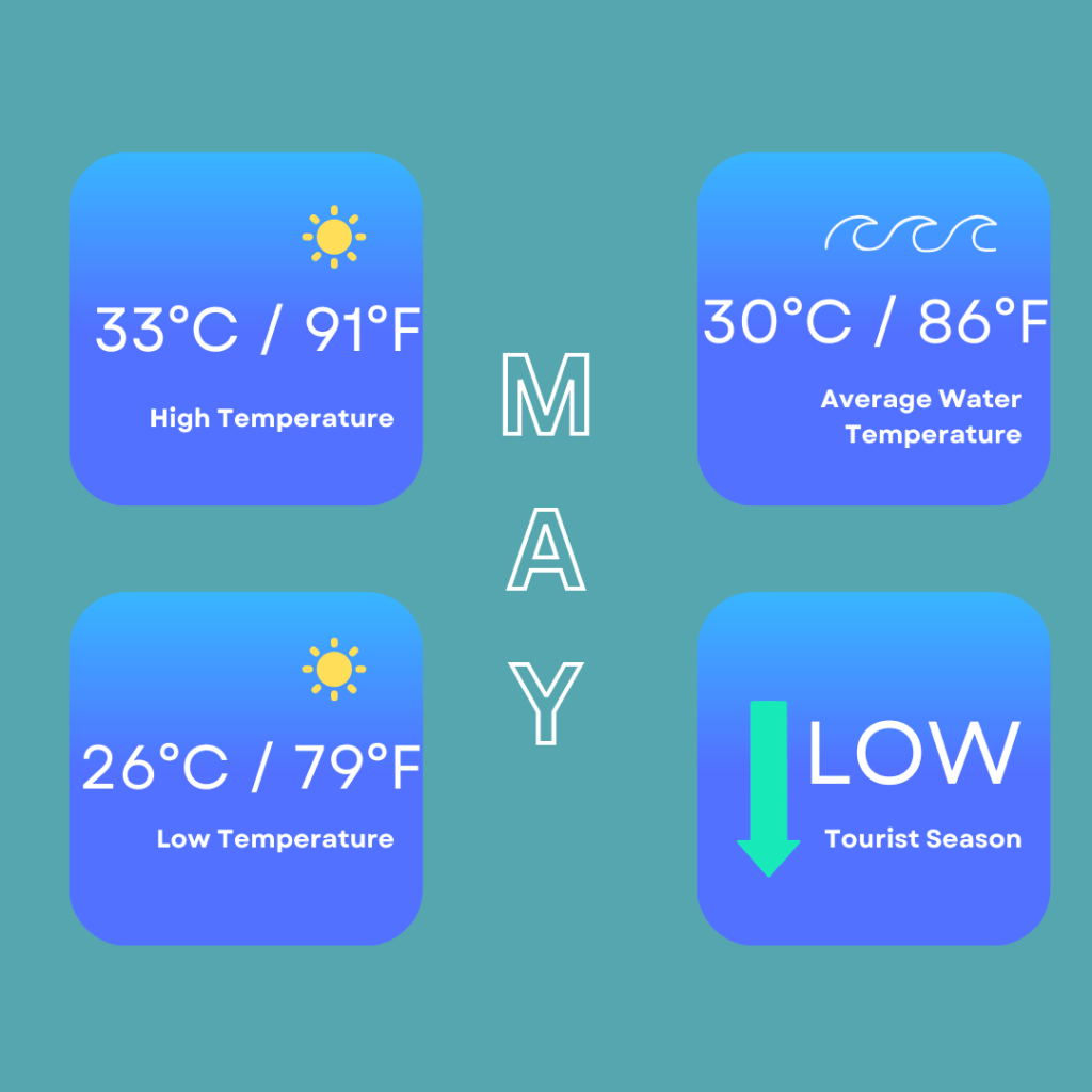 Infographic for weather in May in Phuket. It shows high temperatures of 33 Degrees Celsius / 91 Degrees Fahrenheit. Low temperatures of 26 Degrees Celsius / 79 Degrees Fahrenheit. It also shows sea temperatures are 30 Degrees Celsius / 86 Degrees Fahrenheit and that it is low tourist season.