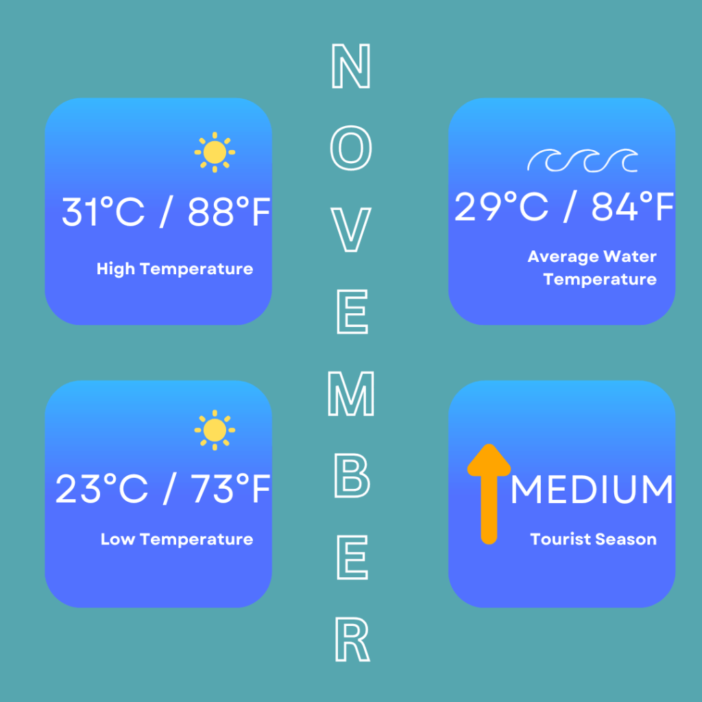 Infographic for weather in November in Phuket. It shows high temperatures of 31 Degrees Celsius / 88 Degrees Fahrenheit. Low temperatures of 23 Degrees Celsius / 73 Degrees Fahrenheit. It also shows sea temperatures are 29 Degrees Celsius / 84 Degrees Fahrenheit and that it is a medium tourist season.