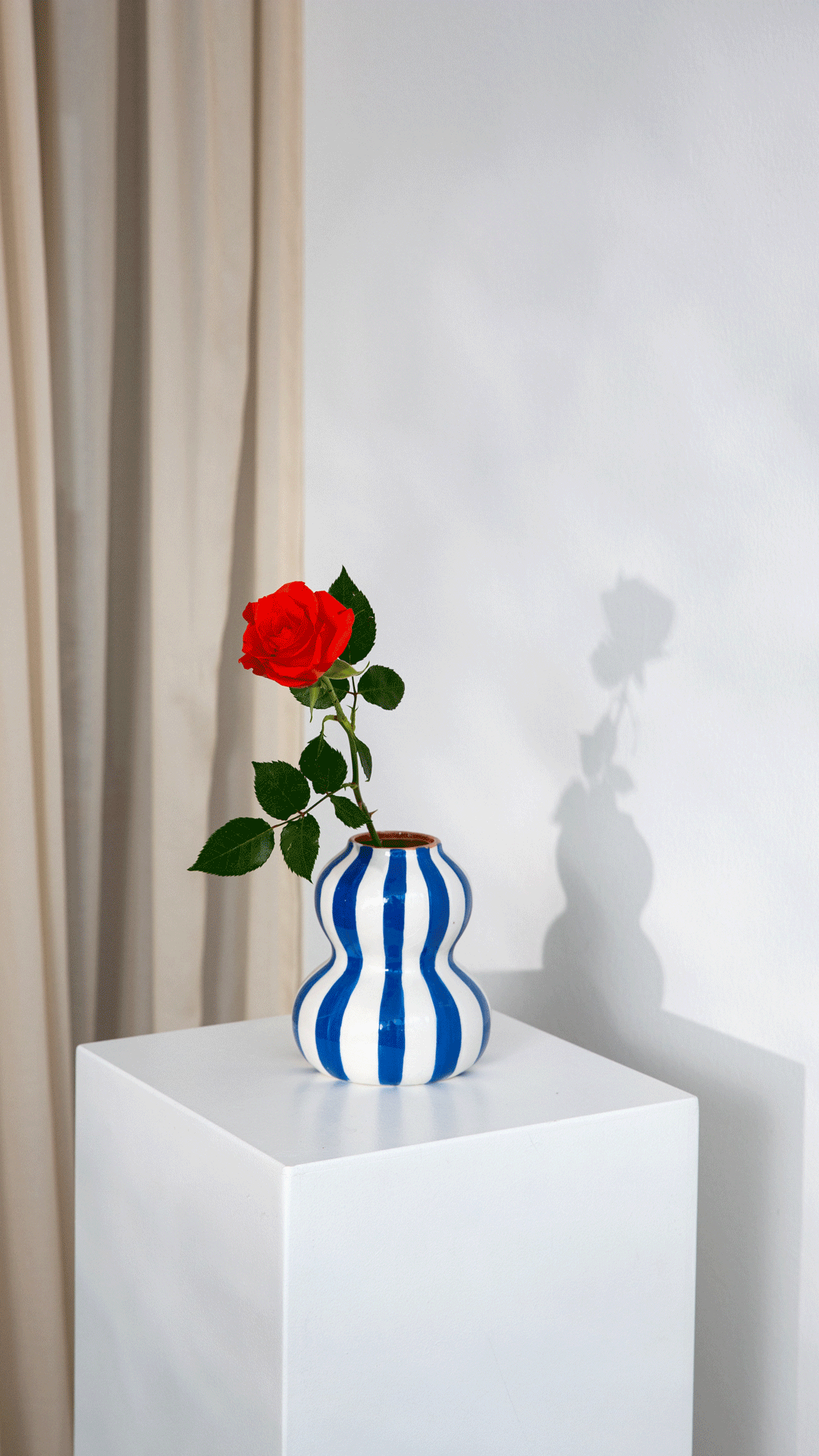fairtrade_sparked_rose