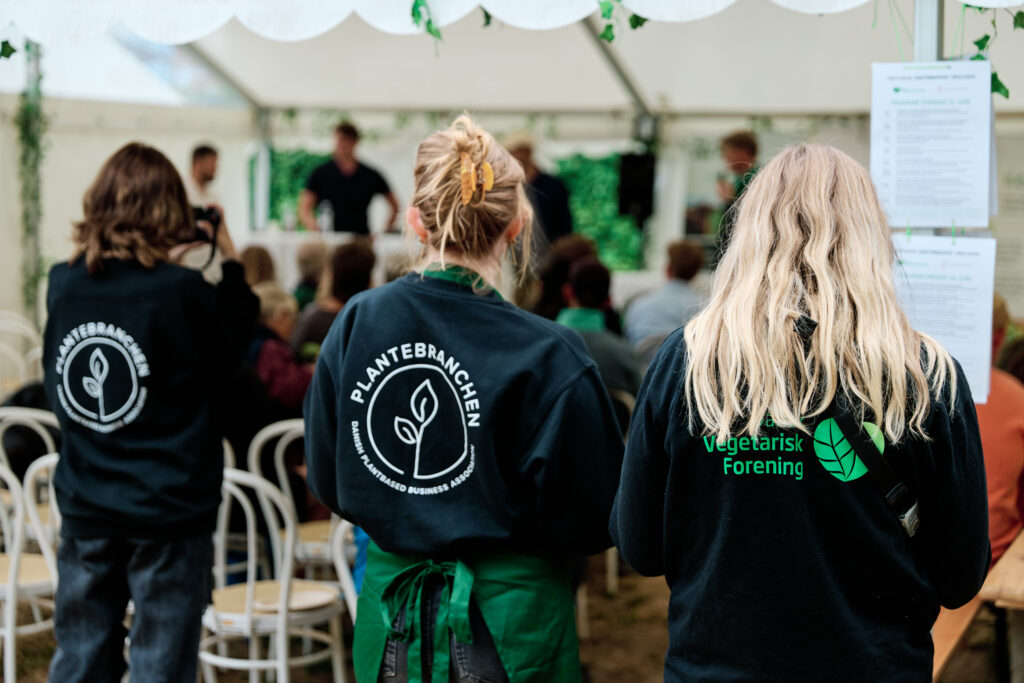 17 PB Folkemoedet Rikkehmikuta