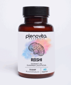 Reishi kapslar från Plenovita. Ett naturligt kosttillskott av svampen Lackticka