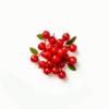 Guarana
