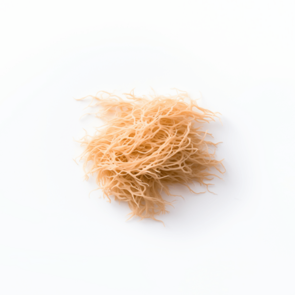 Irish Sea Moss