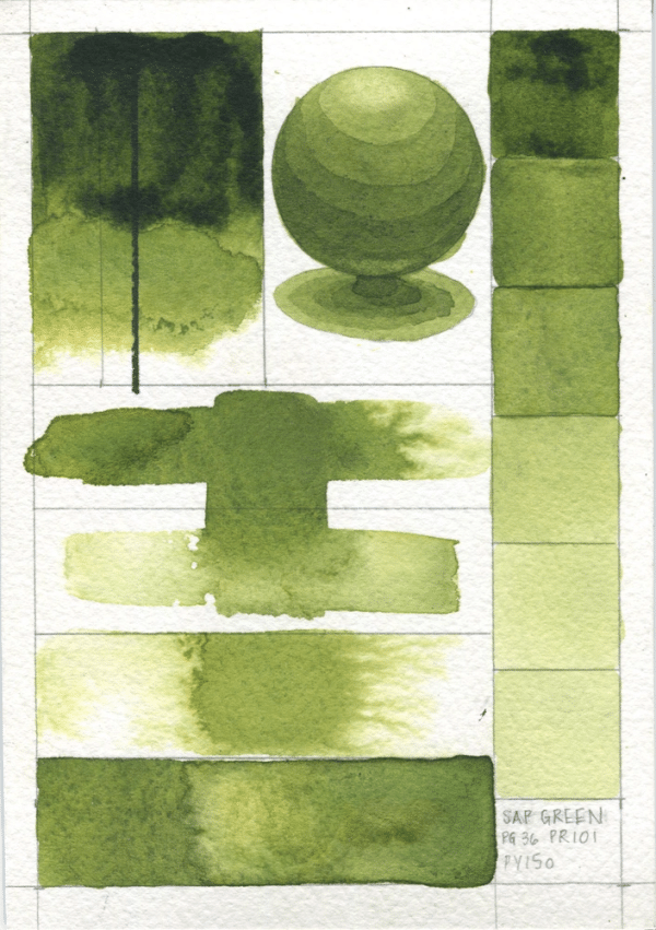 QoR Artists Watercolor tub 5ml - Sap Green S2 - Bild 2