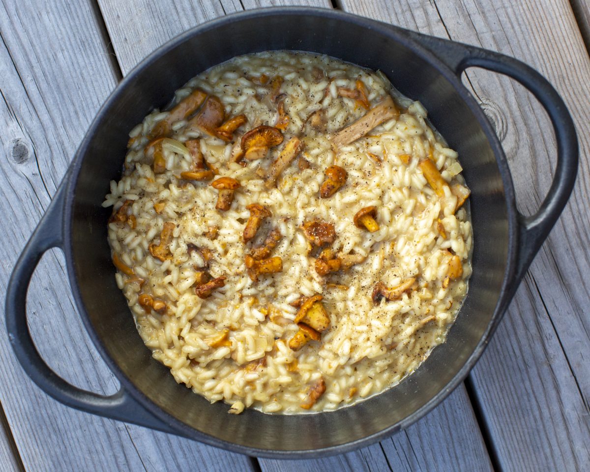 Kantarell-risotto