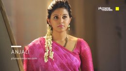 Anjali Photo Gallery