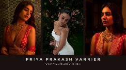 Plumeria Movies Malayalam PR Agency