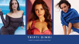 Tripti Dimri Photo Gallery