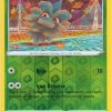 Celebi 009 185 Amazing Rare The Pokemon Store