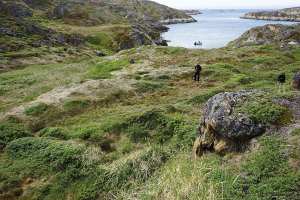 På bopladsen Arajutsisut, i øhavet syd for Sisimiut, ses tydelige ruiner af meget store fælleshuse fra 16-1700-tallet. Herfra fangede inuit om vinteren og foråret sæler og grønlandshvaler, og herfra drog man om sommeren ind i indlandet for at jage rensdyr i stor stil. Skindene tog man med sig tilbage til kysten, hvorefter man rejste til de store handelspladser, hvor inuit fra hele Grønland mødtes med hinanden og de europæiske hvalfangere og handelsfolk (foto: Jens Fog Jensen).