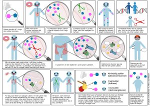 Sådan virker sukkerintolerance. Klik på tegneserien for at se den i større version (illustration: Ninna Senftleber).