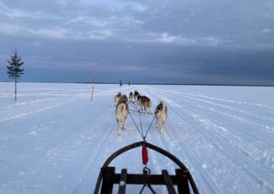 Dogsled and snowshoe tour