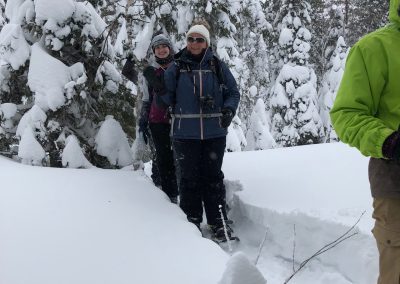 Guided winter adventure tour