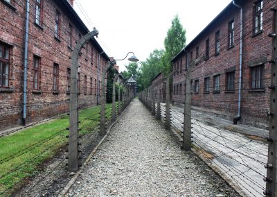 Auschwitz main camp - barbed wire