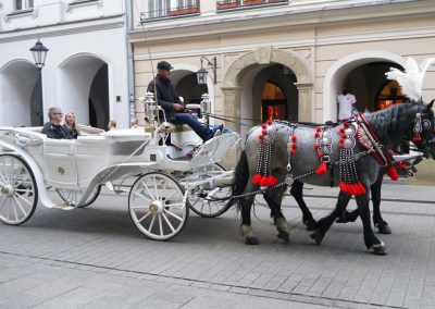 Horses and carriage, Grodzka