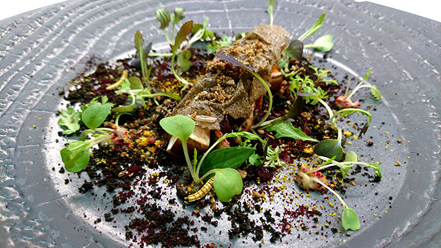 'Walk in the Woods' - Truffle dish consists of mushrooms, truffles prepared in various ways, beetroot and a variety of leafed garnish.