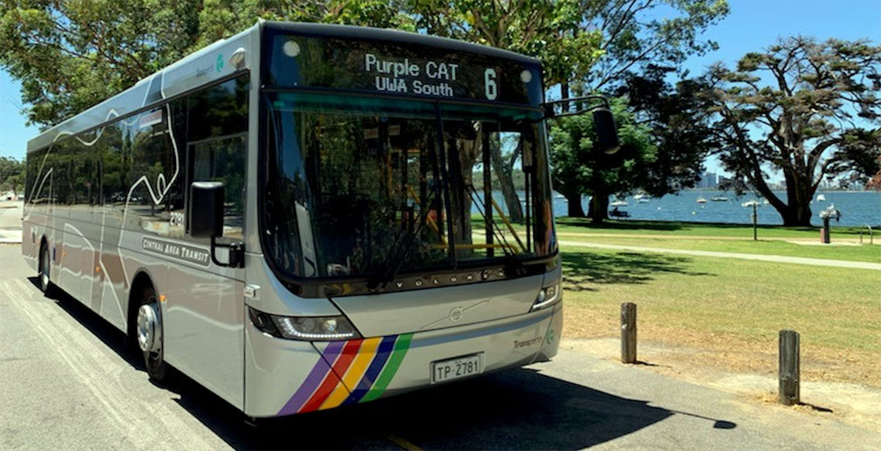 Purple-CAT-Bus