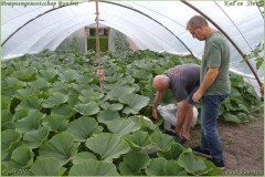 1_Pompoengenootschap-Kasterlee-100-van-312-BorderMaker