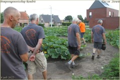 1_Pompoengenootschap-Kasterlee-130-van-312-BorderMaker