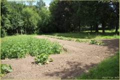 Pompoengenootschap-Kasterlee-44-van-312-BorderMaker