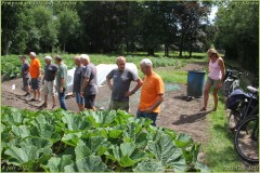 Pompoengenootschap-Kasterlee-49-van-312-BorderMaker