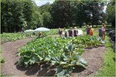 Pompoengenootschap-Kasterlee-51-van-312-BorderMaker