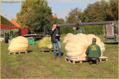 Pompoenfeest Wildert Weging-106-BorderMaker