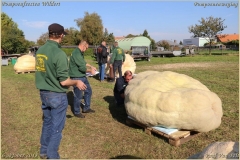 Pompoenfeest Wildert Weging-114-BorderMaker