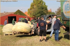 Pompoenfeest Wildert Weging-119-BorderMaker