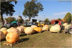 Pompoenfeest Wildert Weging-120-BorderMaker