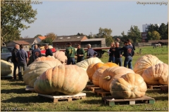 Pompoenfeest Wildert Weging-135-BorderMaker