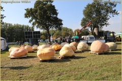 Pompoenfeest Wildert Weging-171-BorderMaker