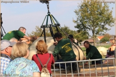 Pompoenfeest Wildert Weging-238-BorderMaker