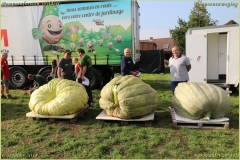 Pompoenfeest Wildert Weging-408-BorderMaker