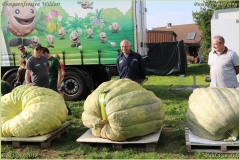 Pompoenfeest Wildert Weging-410-BorderMaker